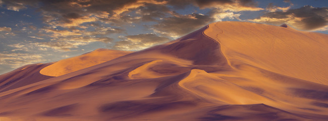 Beautiful sand dunes in the Namib  desert