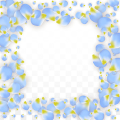 Vector Realistic Blue Petals Falling on Transparent Background.  Spring Romantic Flowers Illustration. Flying Petals. Sakura Spa Design. Blossom Confetti.