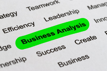 Obraz premium Business Analysis - Project Management Buzzwords, Printed on White Paper and Highlighted
