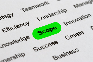 Obraz premium Scope - Project Management Buzzwords, Printed on White Paper and Highlighted