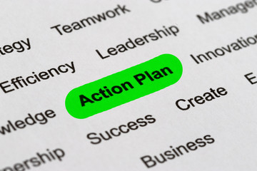 Fototapeta premium Action Plan - Project Management Buzzwords, Printed on White Paper and Highlighted