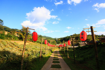 Fototapeta na wymiar Beautiful red paper Chinese lanterns decoration on walkway of Lee Wine Ruk Thai Resort located on the mountain, Thailand