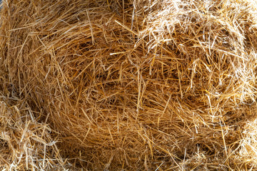 Some hay bales stacked in the barn