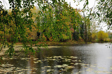 water, lake, autumn, nature, landscape