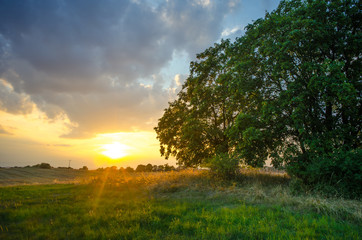 Obraz na płótnie Canvas Sunset in the country