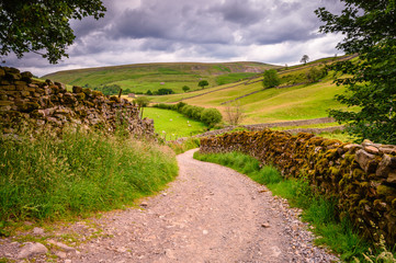 Bridleway in Upper Swaledale, one of the most northerly dales in the Yorkshire Dales National Park, famous for its wildflower meadows, field barns and dry stone walls © drhfoto