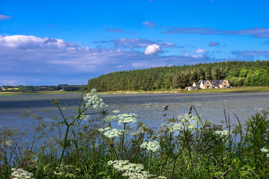 Rural landscape. River Ythan, Aberdeenshire, Scotland, UK