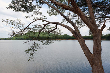mountain and river at Thailand