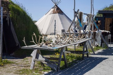 Antler © Мария Крылова