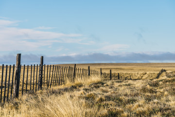 Obraz premium Amazing landscape view golden yellow dried glass hill with fence in autumn with cloud blue sky in south Patagonia, Chile and Argentina, most iconic beautiful tourism place