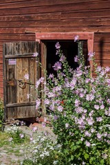Old house and flowers