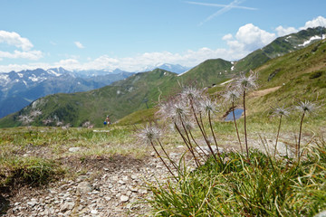 Isskogel summit in Austria Gerlos