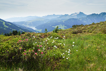 Isskogel summit in Austria Gerlos