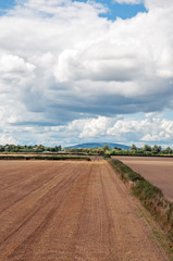 Fototapeta na wymiar Agricultural landscape in England.