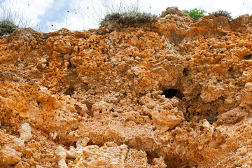 Rocky clay cliffs at the beach