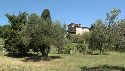 Hilltop settlement in the Tuscan agricultural landscape
