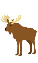 Moose standing tall against a white background vector