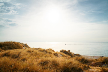 Dune with beach grass. - obrazy, fototapety, plakaty