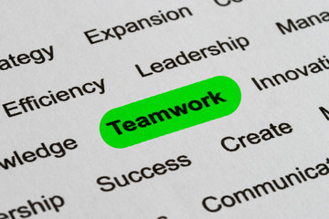 Teamwork - Business Buzzwords, printed on white paper and highlighted