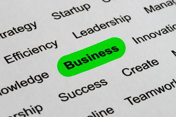 Business Buzzwords, printed on white paper and highlighted