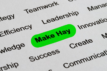 Obraz premium Make Hay - Business Buzzwords, printed on white paper and highlighted