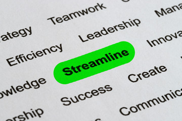 Fototapeta premium Streamline - Business Buzzwords, printed on white paper and highlighted