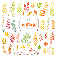 vector set of red autumn leaves and branches, hand drawn design elements