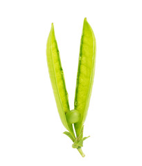 fresh green peas isolated on a white background