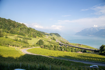 Vue sur le lac léman et les vignes en Suisse