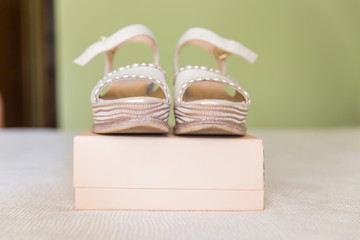 Zapatos de la novia