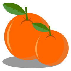 chinese Mandarin orange tangerine