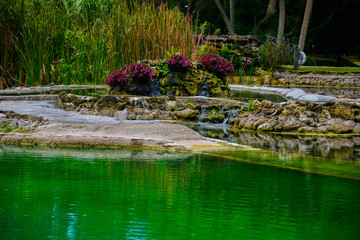 red flowers green water