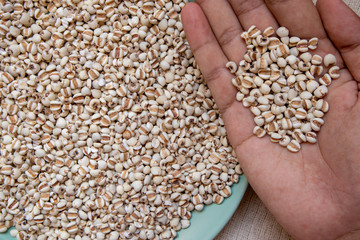 Picture of millet or job’s tears in hand is cereal and is food because it is used to advertise food.