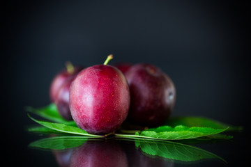 organic red ripe cherry plum isolated on black