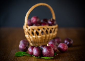organic red ripe cherry plum isolated on black