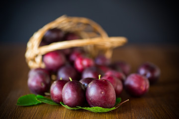 organic red ripe cherry plum isolated on black