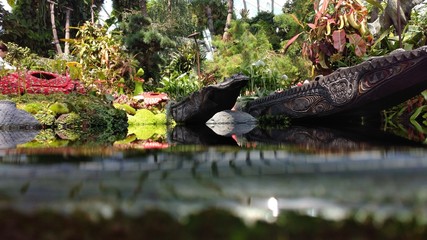pond in japanese garden