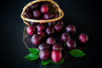 organic red ripe cherry plum isolated on black