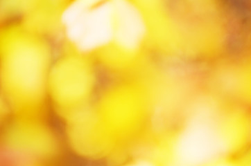 Fall blurred background. Autumnal natural bokeh for background. - Image