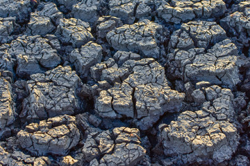 Cracked soil, Cracked soil from Thailand country