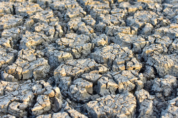 Cracked soil, Cracked soil from Thailand country