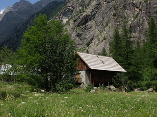 cabane de montagne dans les fleurs