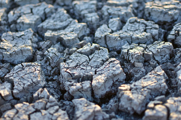 Cracked soil, Cracked soil from Thailand country
