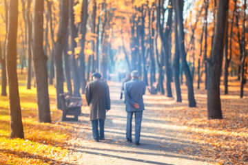Fototapeta premium Two senior friends man walking along beautiful colorful autumn city park. Pair of old age persons talking during walk at beautiful multicolored fall tree valley. Retirement and pension concept.Blurred