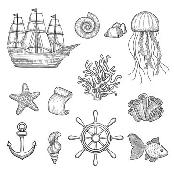 Nautical elements. Ocean fish shells boats ships knot travel marine symbols vector hand drawn collection. Ocean and sea marine elements, boat and shell illustration