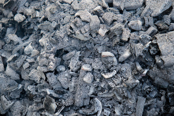 a bunch of progovshev coal and ash
