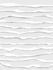 Ripped paper edges. Cut strip white notes ripped lines vector realistic collection. Edge ripped paper, scrap strip sheet illustration
