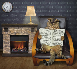 The cat is reading a newspaper in the black leather armchair near fireplace in the living room.