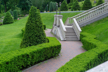 path in garden