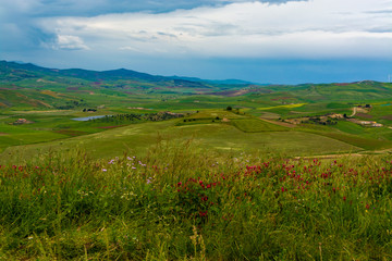 Landscape with colorful blossoming pastures and fields, honey flowers sulla from Sicily, agriculture in Italy